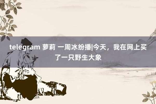 telegram 萝莉 一周冰纷播|今天，我在网上买了一只野生大象