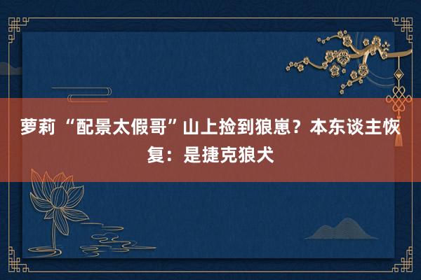 萝莉 “配景太假哥”山上捡到狼崽？本东谈主恢复：是捷克狼犬