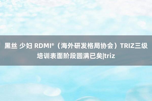 黑丝 少妇 RDMI®（海外研发格局协会）TRIZ三级培训表面阶段圆满已矣|triz