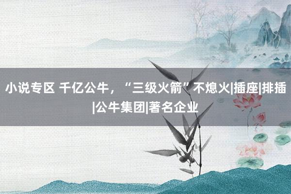 小说专区 千亿公牛，“三级火箭”不熄火|插座|排插|公牛集团|著名企业